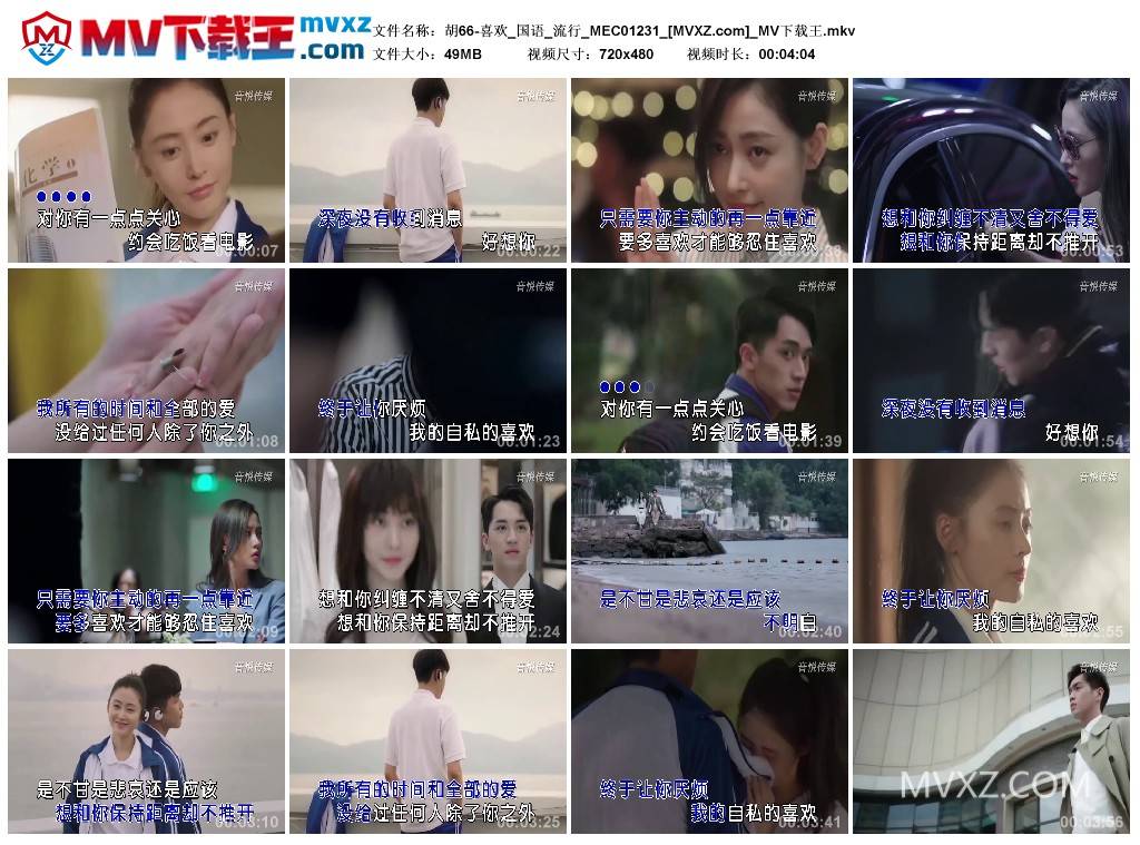 胡66-喜欢_国语_流行_MEC01231